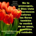 /album/imagenes-de-dios/images329-jpeg1/